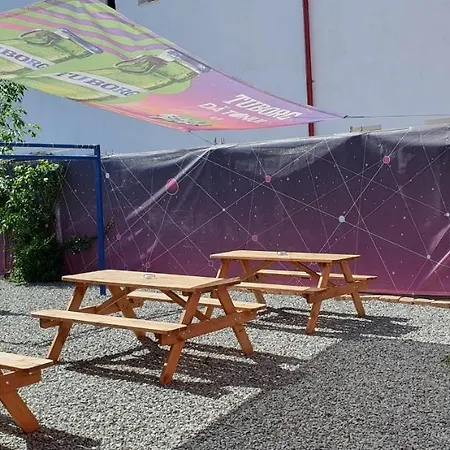 Casa Delfinul Albastru 招待所 科斯蒂内什蒂