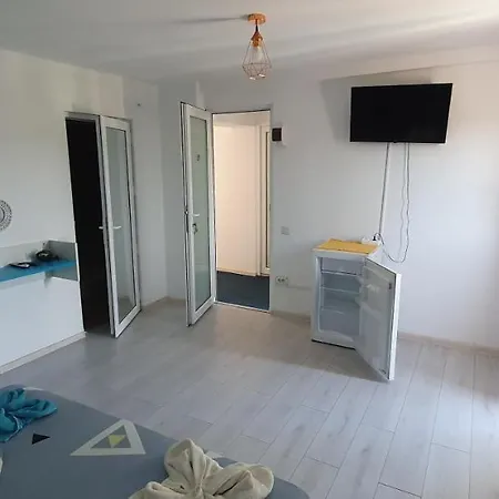 Casa Delfinul Albastru 招待所