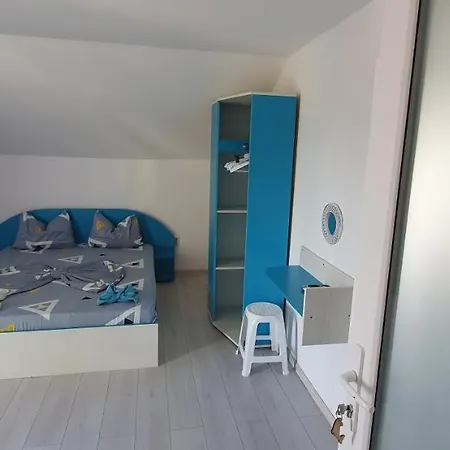 Casa Delfinul Albastru בית הארחה קוסטינסטי