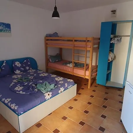 Casa Delfinul Albastru 招待所 科斯蒂内什蒂