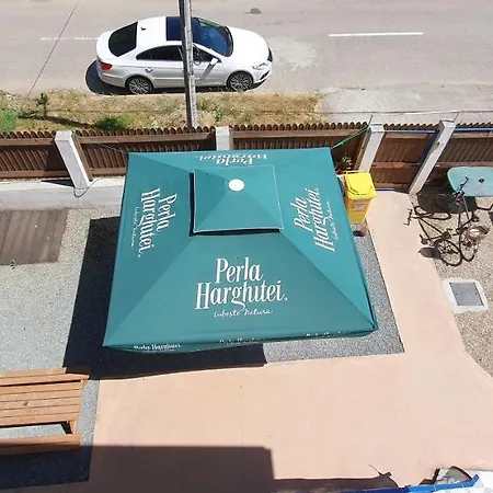 Casa Delfinul Albastru 招待所 3*