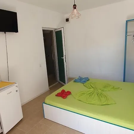 Casa Delfinul Albastru 3* 科斯蒂内什蒂