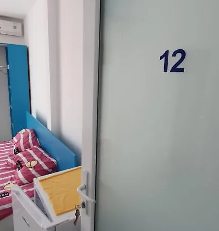 Casa Delfinul Albastru 科斯蒂内什蒂