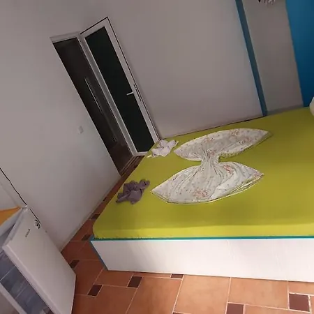 Casa Delfinul Albastru בית הארחה קוסטינסטי