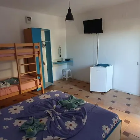 Delfinul Albastru Pensión Costinesti