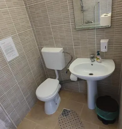 Casa Delfinul Albastru 科斯蒂内什蒂