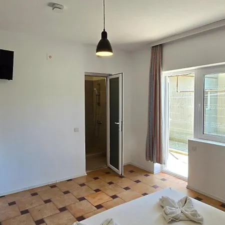Casa Delfinul Albastru בית הארחה 3*