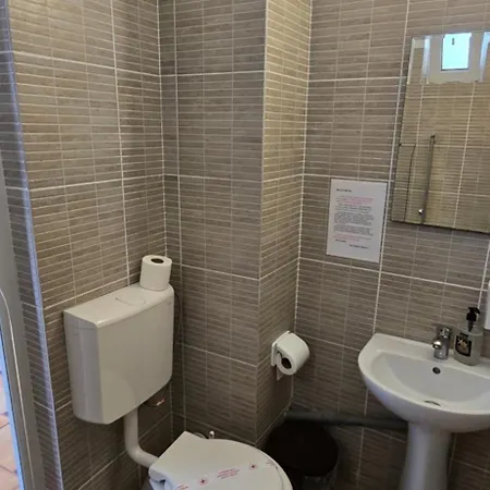 בית הארחה Casa Delfinul Albastru קוסטינסטי