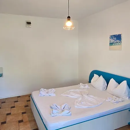 Casa Delfinul Albastru קוסטינסטי