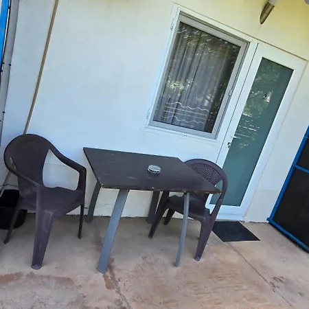 Casa Delfinul Albastru 3* קוסטינסטי