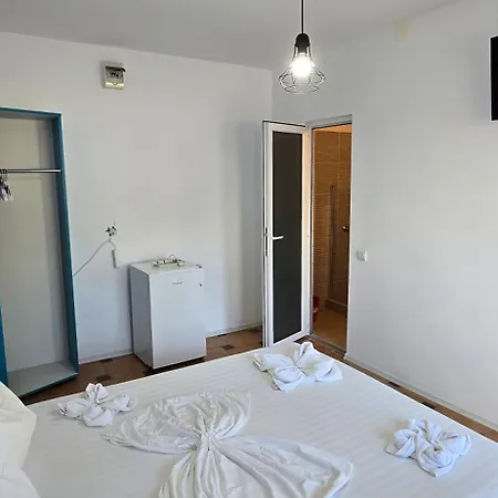 Casa Delfinul Albastru בית הארחה