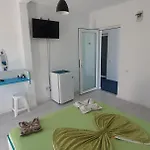 Casa Delfinul Albastru קוסטינסטי