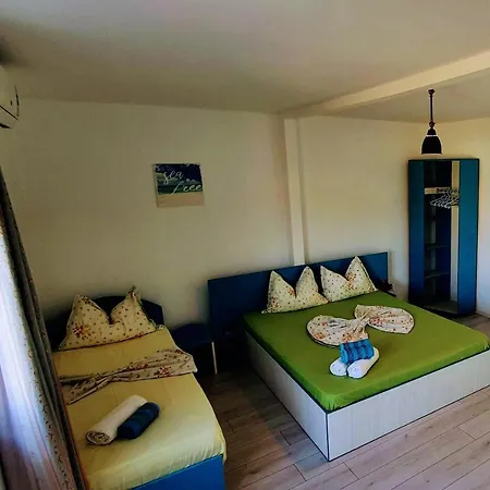 Guest house Delfinul Albastru *