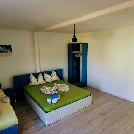 Delfinul Albastru Guest house