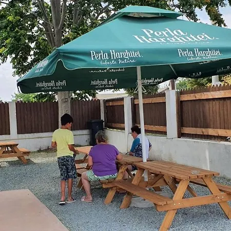 Delfinul Albastru Guest house Costinesti