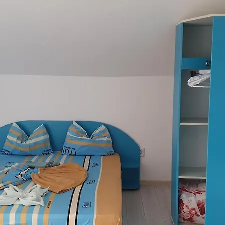 Guest house Delfinul Albastru *