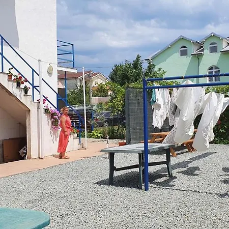 Delfinul Albastru Costinesti