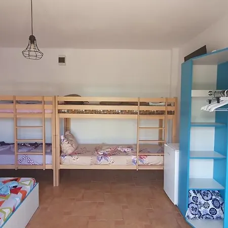 Delfinul Albastru Guest house Costinesti