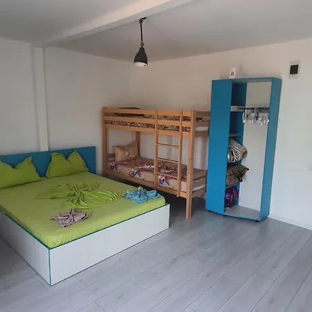 Guest house Delfinul Albastru