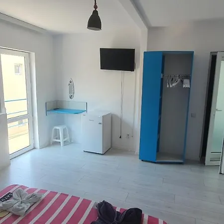 Delfinul Albastru Guest house *