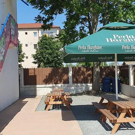 Casa Delfinul Albastru