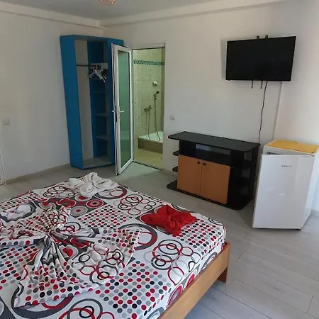 Delfinul Albastru Guest house Costinesti