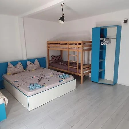 Pensionat Casa Delfinul Albastru Costinesti