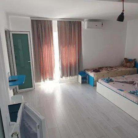 Casa Delfinul Albastru Costinești