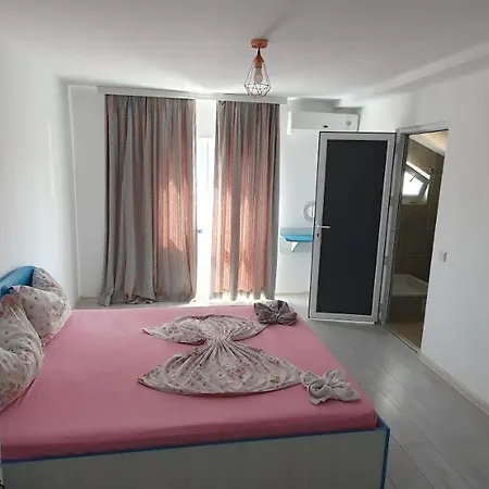 Casa Delfinul Albastru 3* Costinesti