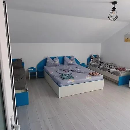 Guest house Delfinul Albastru Costinesti