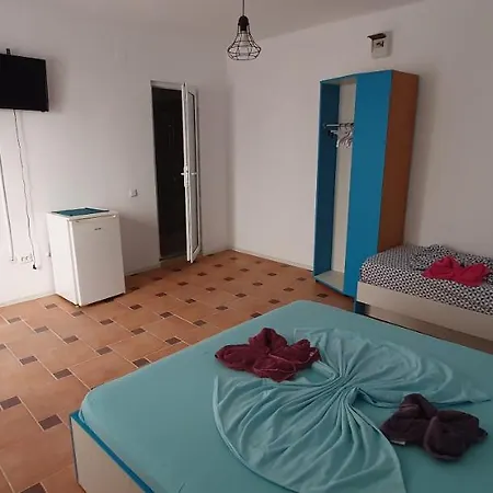 Guest house Casa Delfinul Albastru