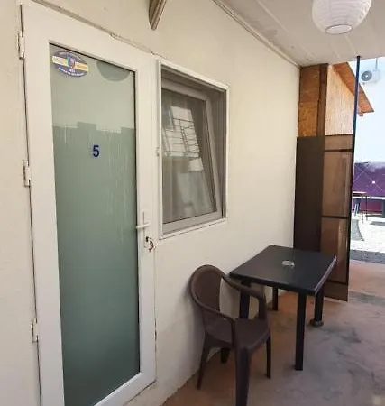 Casa Delfinul Albastru Guest house