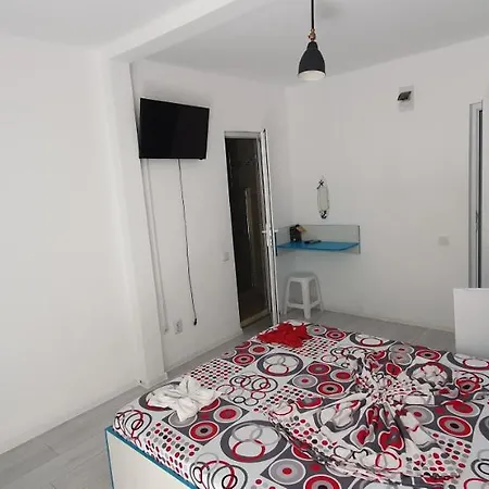 Casa Delfinul Albastru 3*