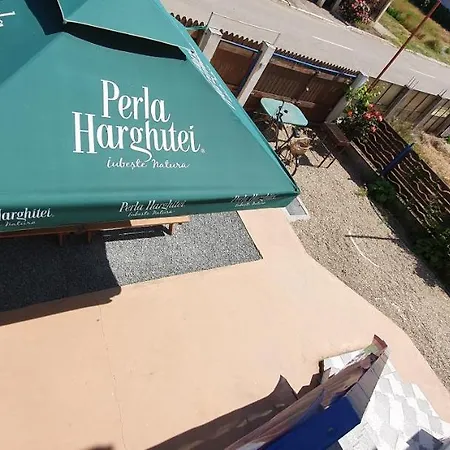 Casa Delfinul Albastru Affittacamere