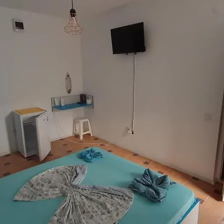 Casa Delfinul Albastru