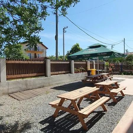 Casa Delfinul Albastru 3* Costinesti