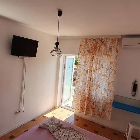 Casa Delfinul Albastru 3*