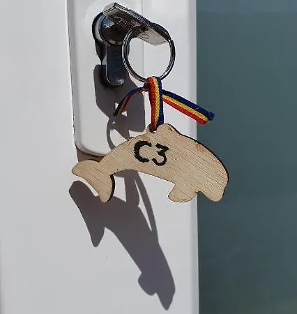 Delfinul Albastru Costinesti