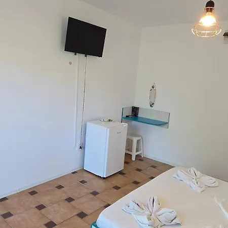 Casa Delfinul Albastru Guest house