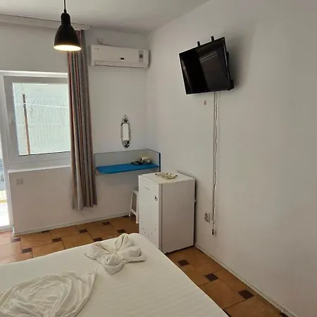 Casa Delfinul Albastru 3* Costinesti