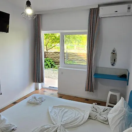 Guest house Casa Delfinul Albastru 3*