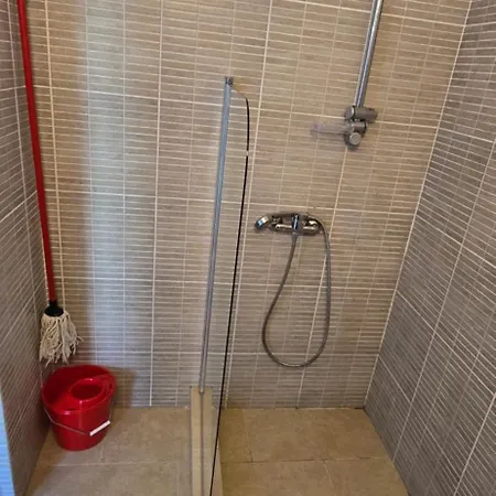 Casa Delfinul Albastru 3* Costinesti