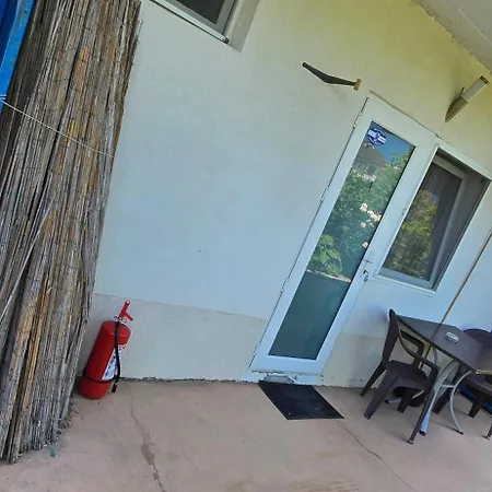 Casa Delfinul Albastru Guest house 3*